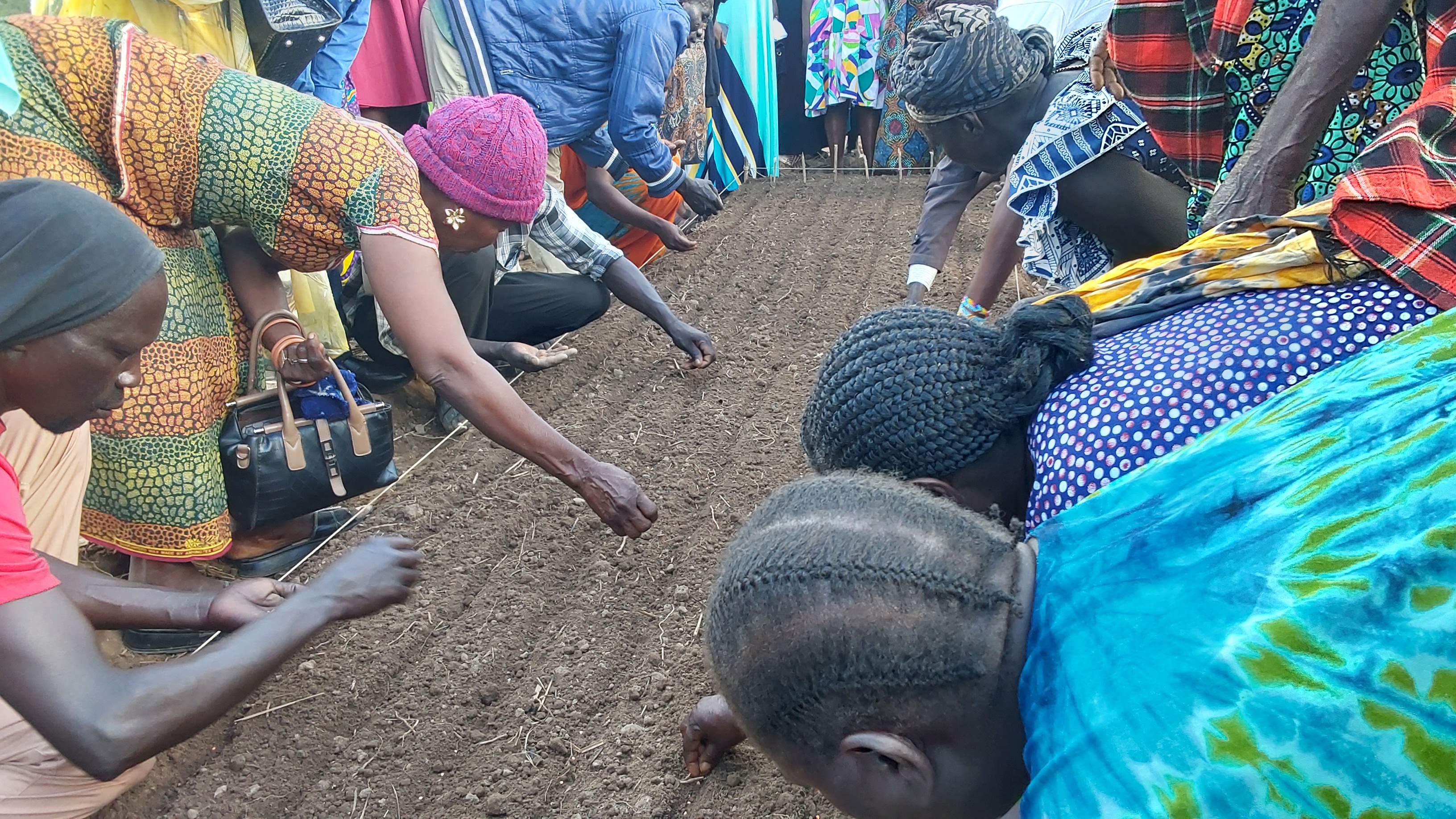 Women participating in a practical agricultural training session
